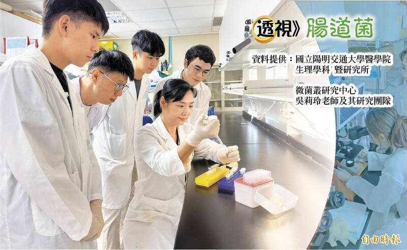 肥胖如何「傷腦」男女大不同?高脂飲食與大腦退化性別差異新發現
