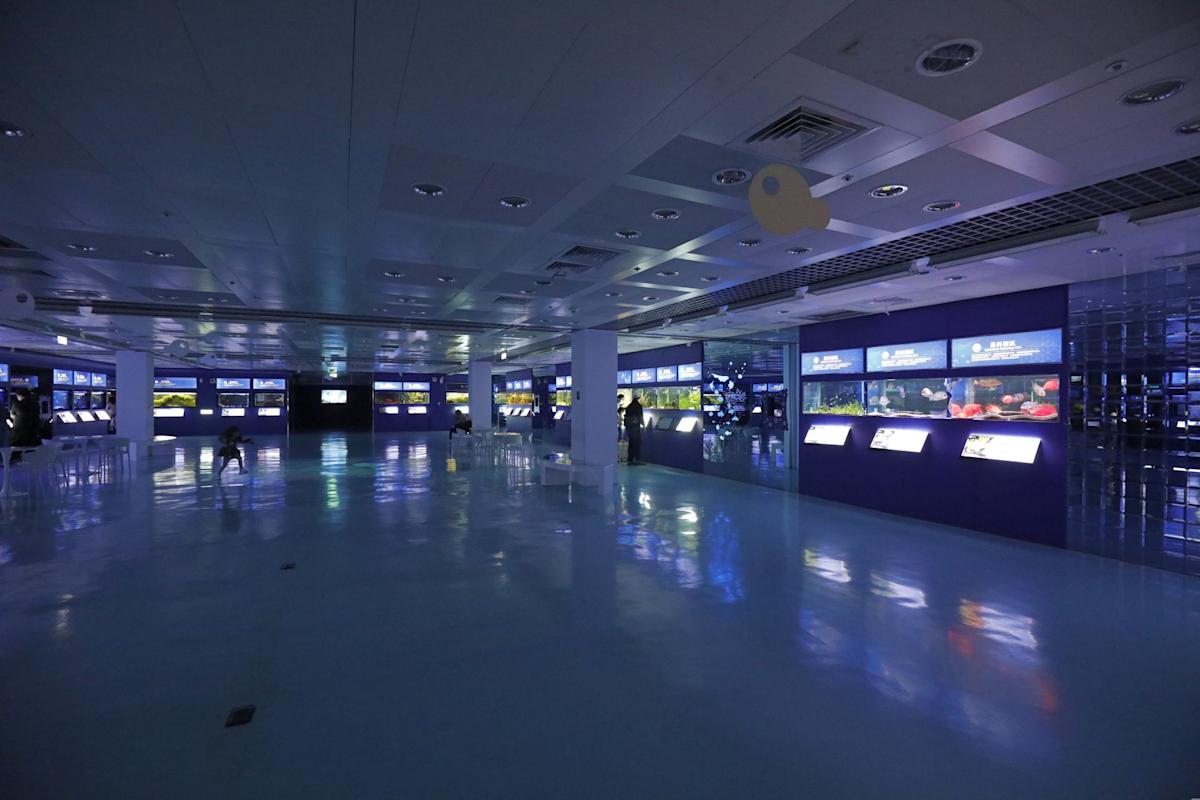 屏東亞太水族中心：透視臺灣觀賞魚王國的生技實力與教育願景