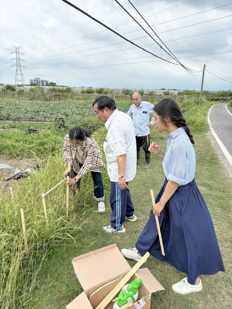 嘉大、東大跨國聯手：農業廢棄物化感作用，開創永續循環農業新頁