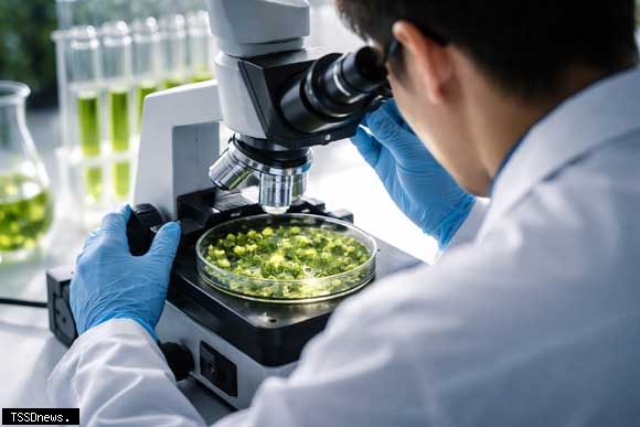 ACMB斥資兩億股收購四項植物藥專利,啟動生技轉型佈局全球新賽道