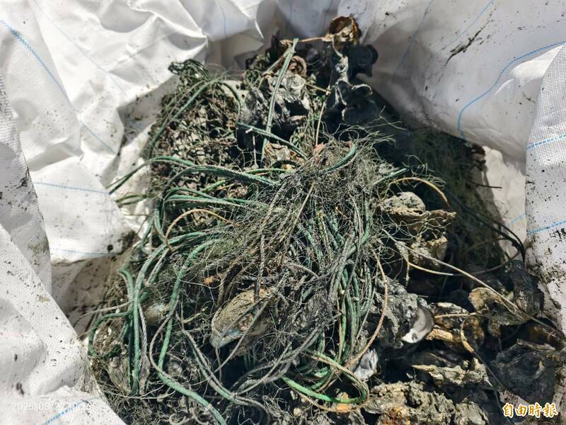 立委楊曜怒揭海底沉網預算真相:400萬評估,實質打撈僅70萬?