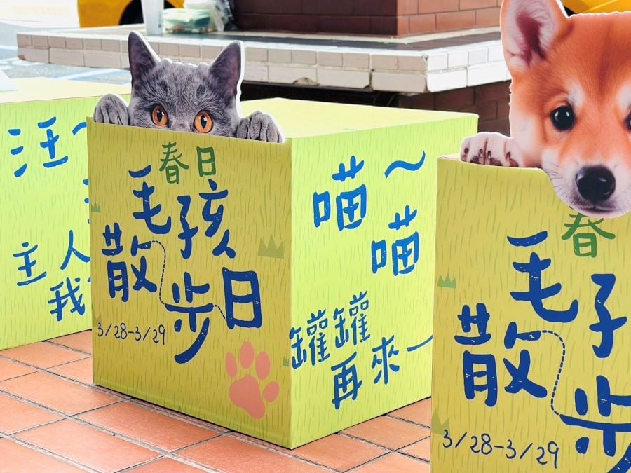 高雄大立春日活動：寵物友善與城市運動風潮齊發