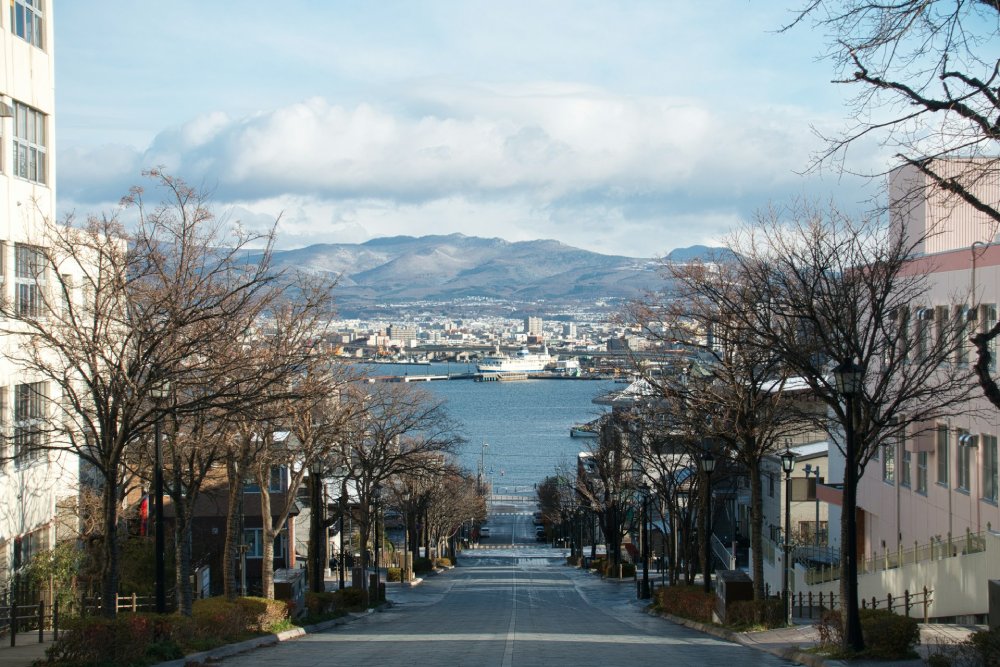 北海道住宿稅生效,18 地將雙重課稅