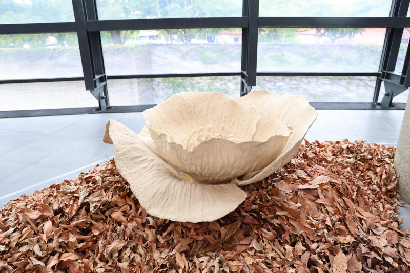 呂巧智陶藝個展「宇宙從我心中生起」 用多重感官探索自然奧秘