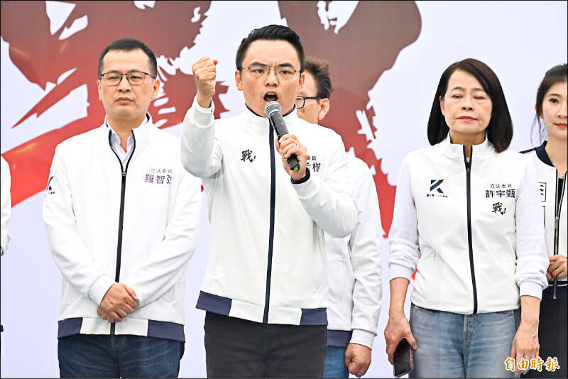 凱道遊行背後的政治角力：在野合作或權力博弈？