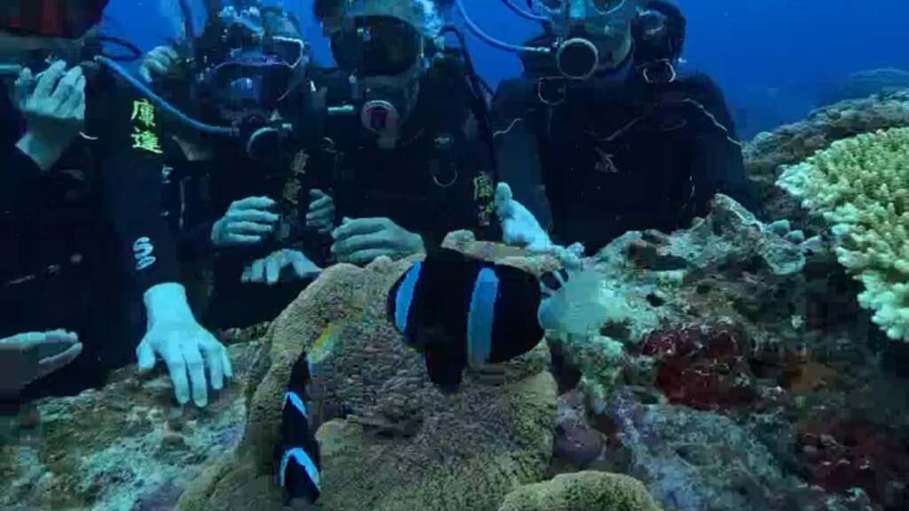 綠島潛水秘境背後：11.5公尺深的海底郵筒，為何成為臺灣觀光的雙面刃？